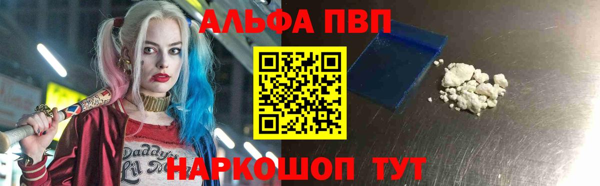 A-PVP Ростов Великий