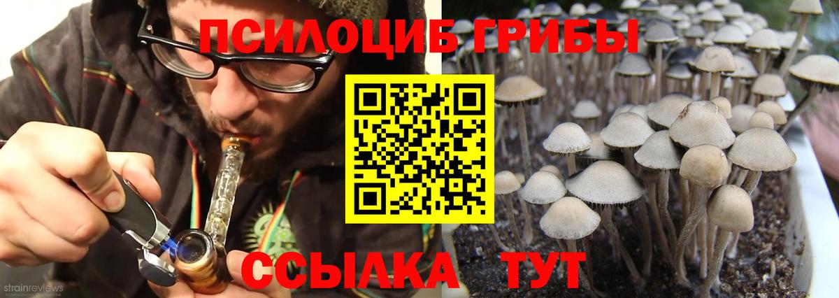 Псилоцибиновые грибы Magic Shrooms Ростов Великий
